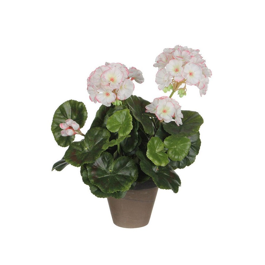 Geranio blanco rosa pvc con maceta gris