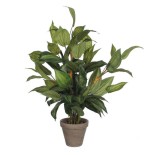 Hosta verde pvc con maceta gris