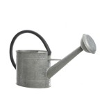 Regadera de zinc 5 litros solo uso decorativo