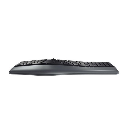 Cherry ergo kc 4500 usb keyboard us int black