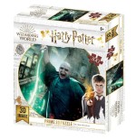 Puzzle lenticular voldemort harry potter 300pzs