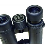 Braun compagno  10x34 wp