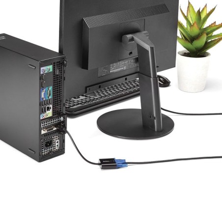 Startech.com adaptador displayport a vga - 1920x1200 - paquete de 5