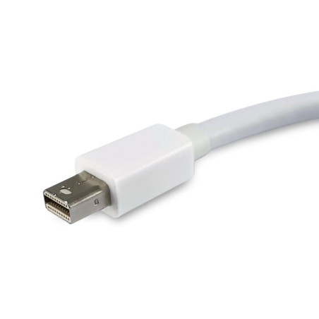 Adaptador mini dp macho  a  dp hembra
