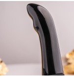 Plug quest prostate bullet negro
