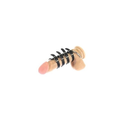 Arnés para el pene con anillo testículos