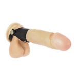 Anillo para el pene y testículos